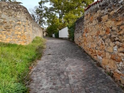 Métropole de Lyon - Photo parcours 1