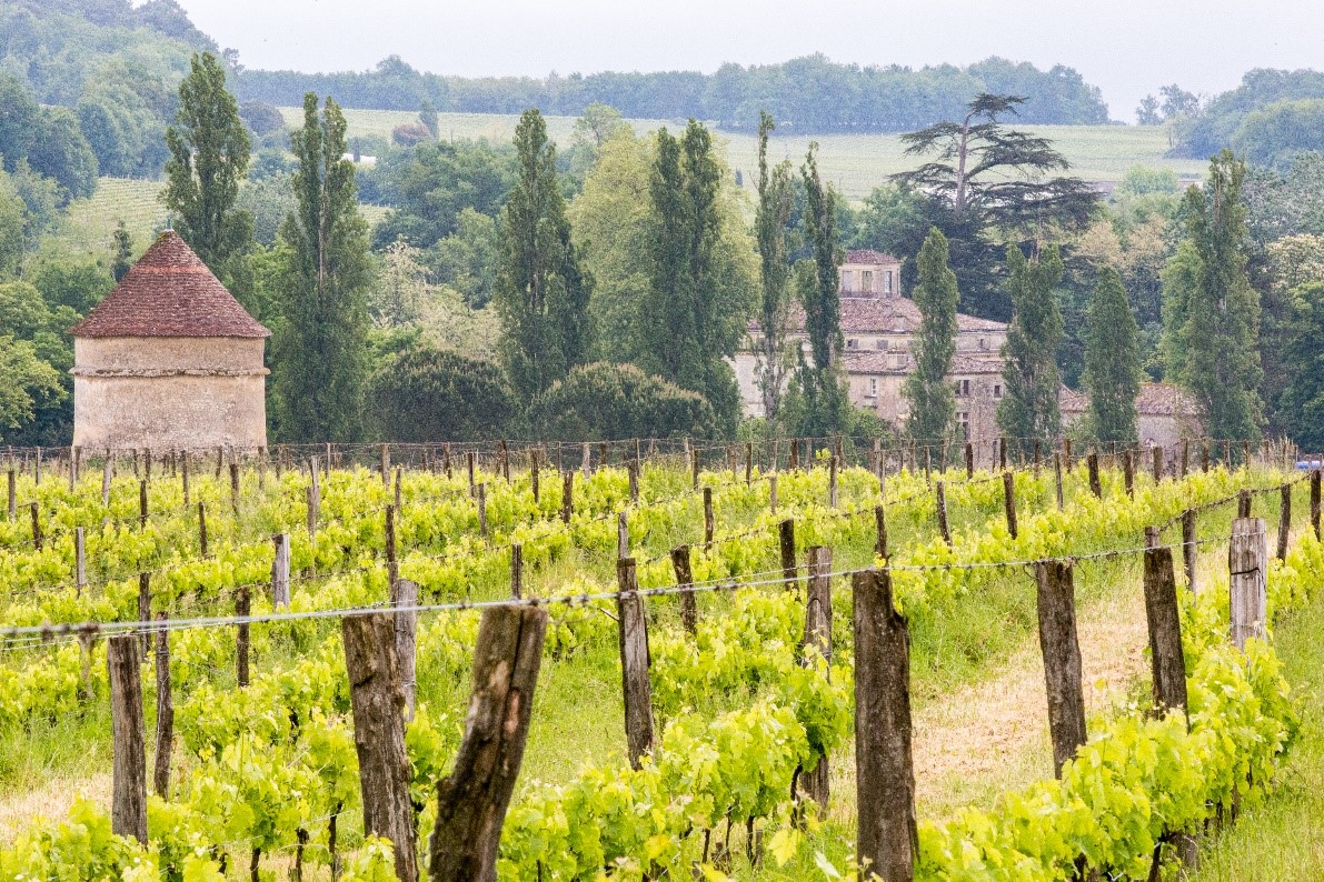 5 idées de randonnées en Gironde pour s'entraîner au Trailwalker Oxfam