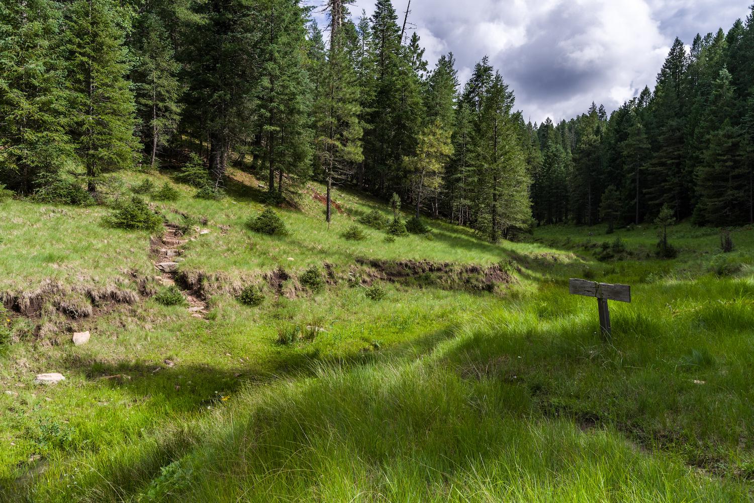 5 randonnées incontournables en Ile-de-France