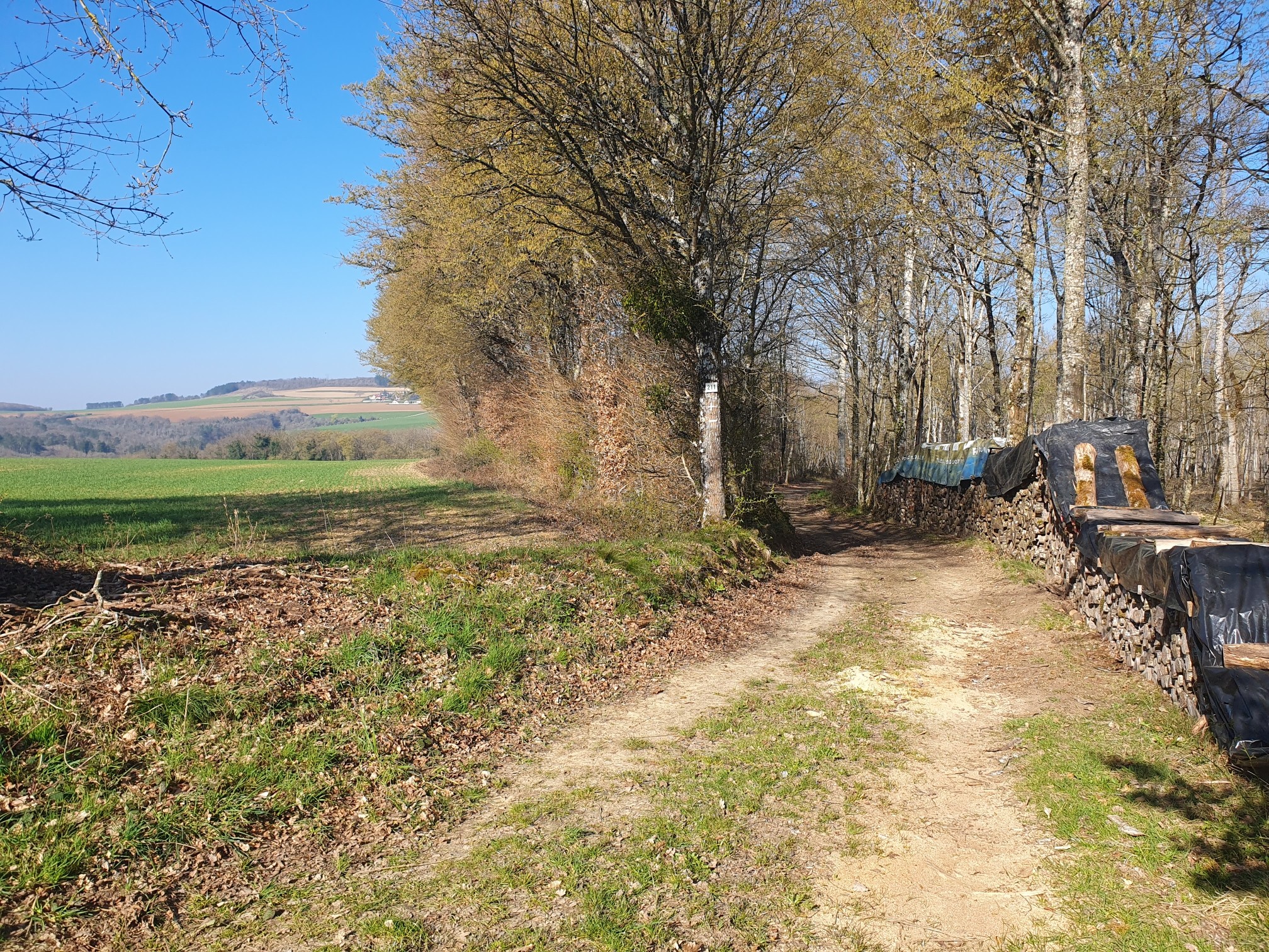 La Marche d'Entraînement à Dijon de nuit !